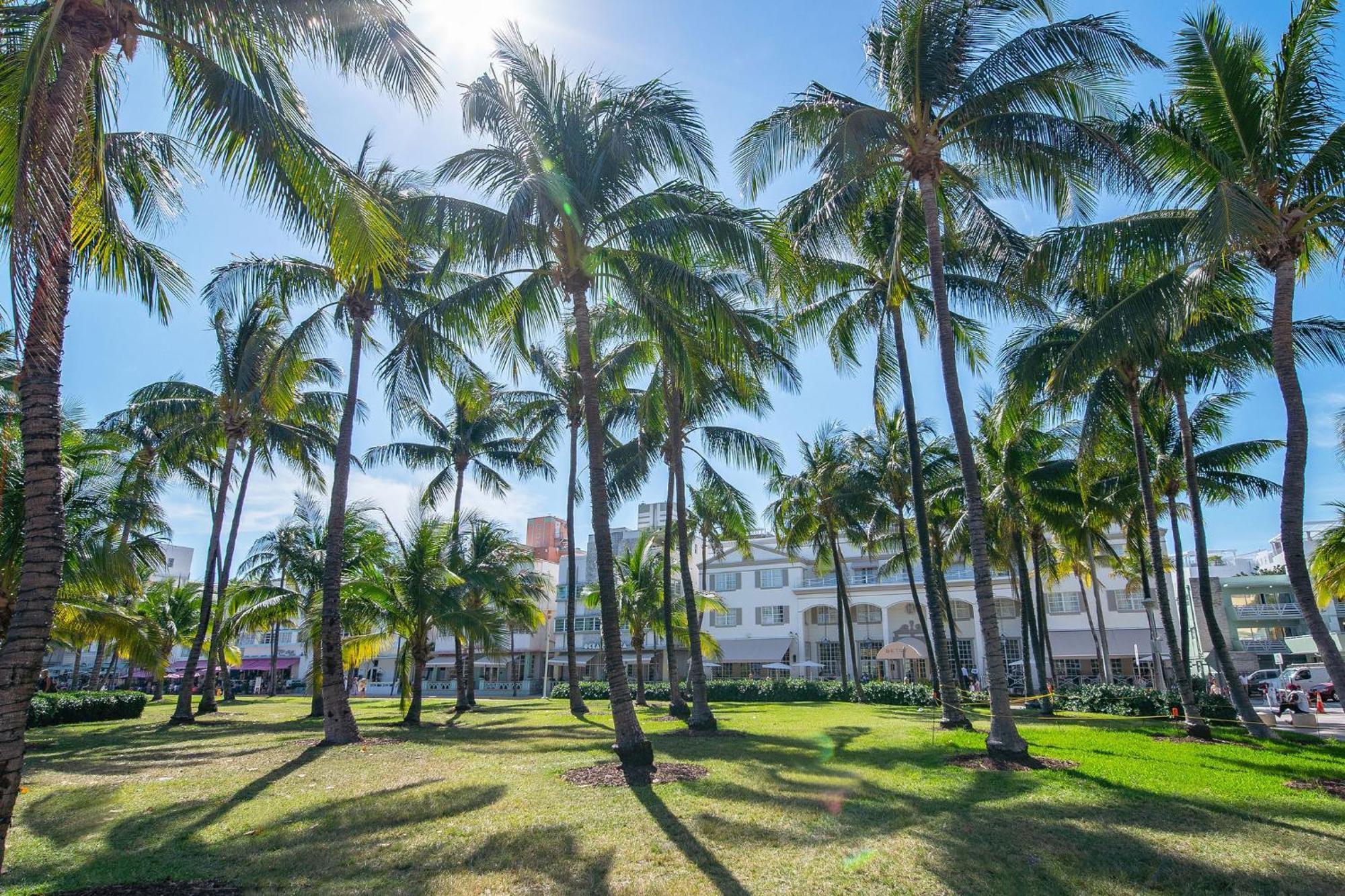 Chic Large Studio Apt Near Ocean Drive South Beach マイアミビーチ エクステリア 写真